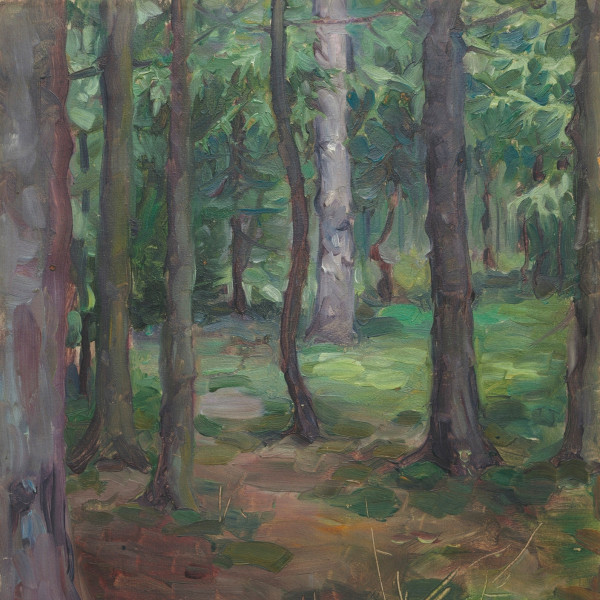 Decolonizing sustainability: lessons from the Fairy Creek conflict